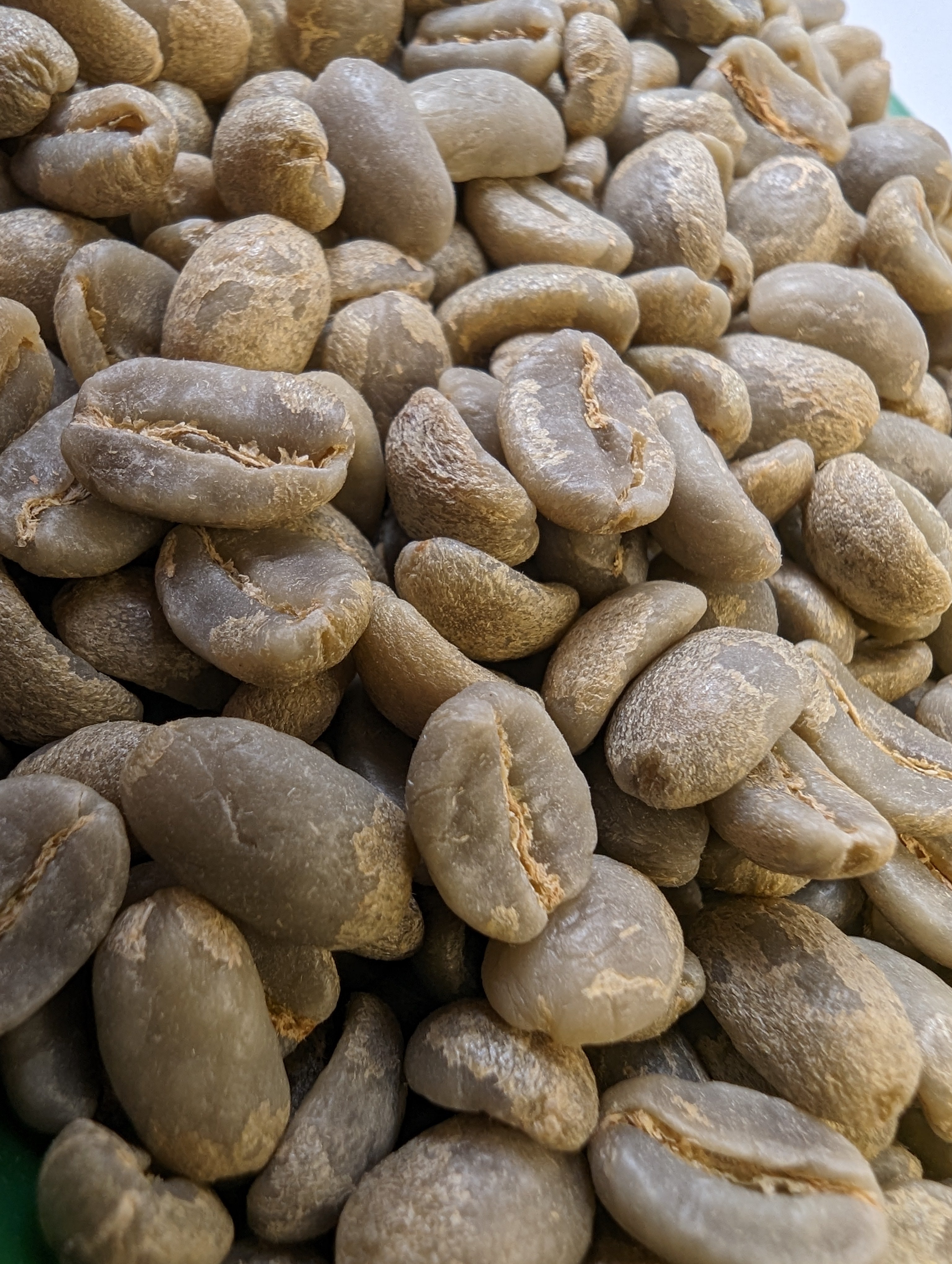 Peru Washed Process Green Specialty Coffee for sale Sunrise Trading 28