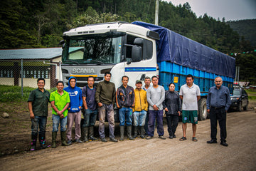The Human Chain: From Andes Mountains to Your Cup ☕️🌄