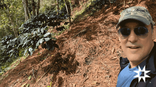 The Andean Soil Story: Unpacking the Mineral Richness Behind Peruvian Coffee