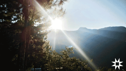 The Sun's Blessing: Inti's Embrace in Every Bean