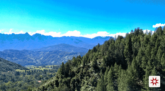 Unveiling the Terroir: The Symphony of Microclimates in the Biosphere Reserve