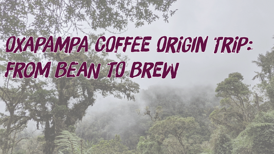 Oxapampa Coffee Origin Trip: From Bean to Brew