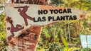 No Tocar las plantas