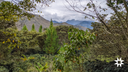 Sunrise Trading Celebrates Shade-Grown Coffee: A Sustainable Sip for Rainforests and Communities