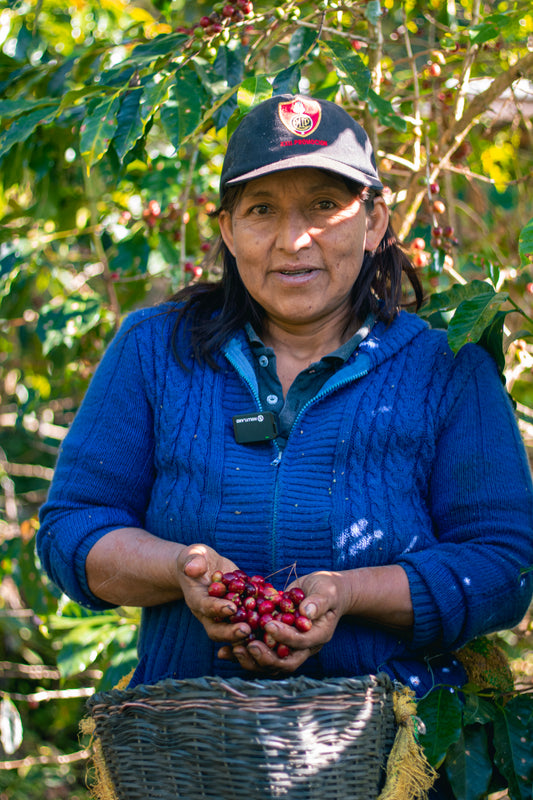 Mery Montejo, Coffee Cultivator