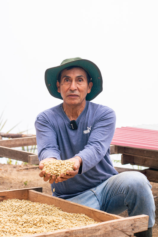 Leopoldo Velita, Coffee Cultivator