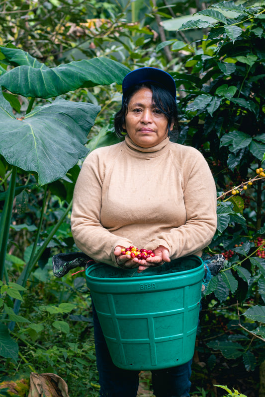 Lily Ortiz, Coffee Cultivator