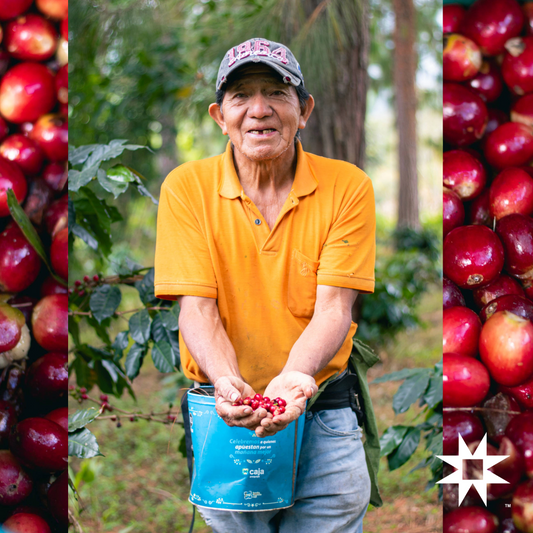 Carlos Colina, Coffee Cultivator