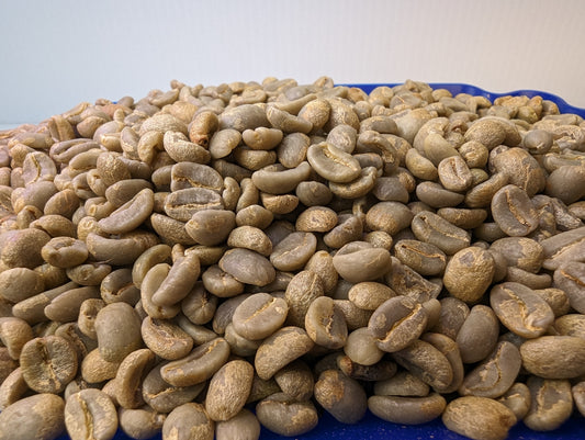 raw coffee grains on display