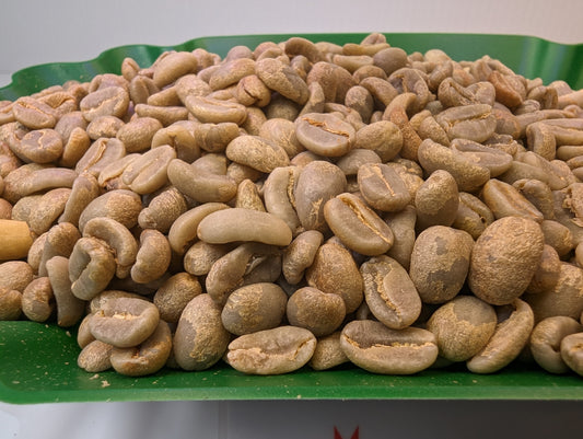 raw coffee grains on display