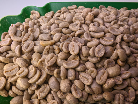 raw coffee grains on display