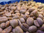 raw coffee grains on display